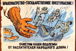 Küzdelem poaching